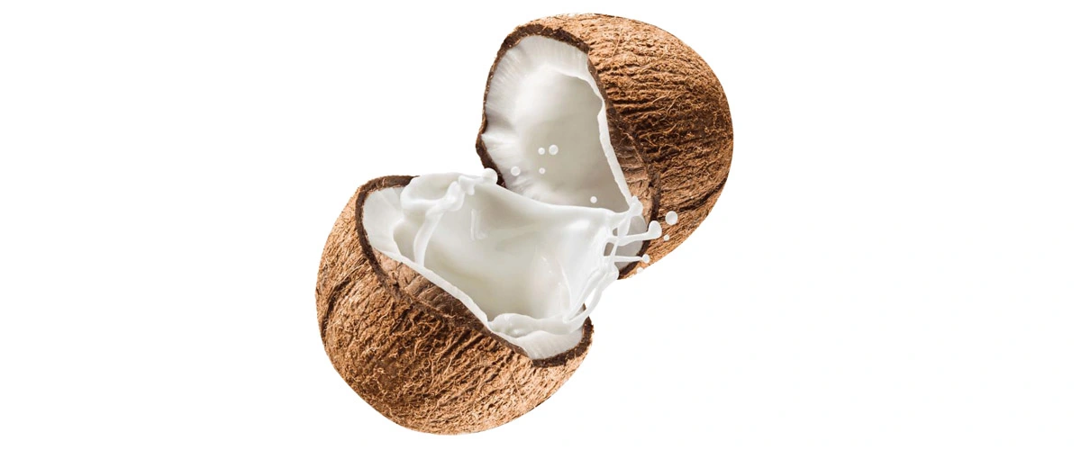 Coconut Water Powder Drink Powder.jpg